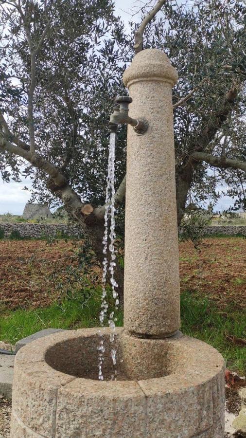 Palacca, Trullo Salentino Andrano Buitenkant foto