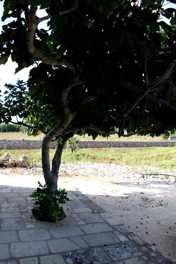 Palacca, Trullo Salentino Andrano Buitenkant foto