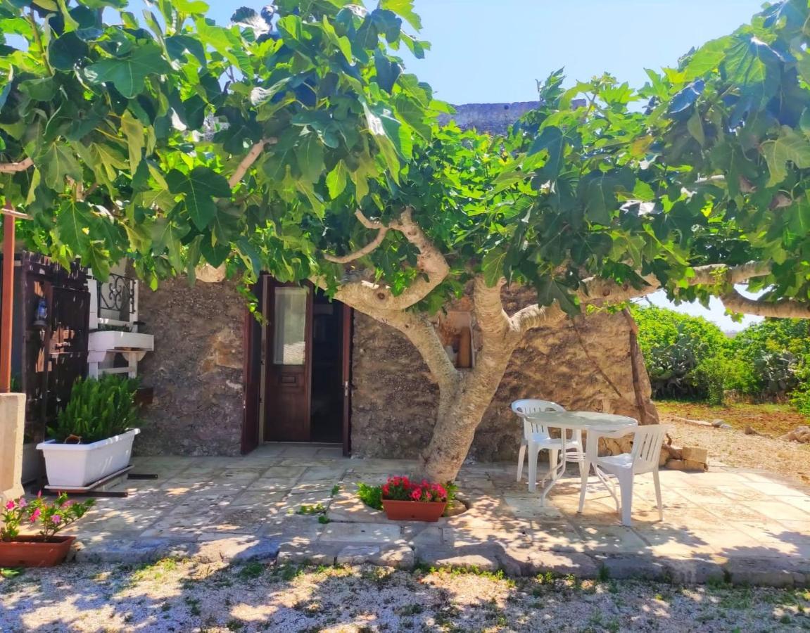 Palacca, Trullo Salentino Andrano Buitenkant foto