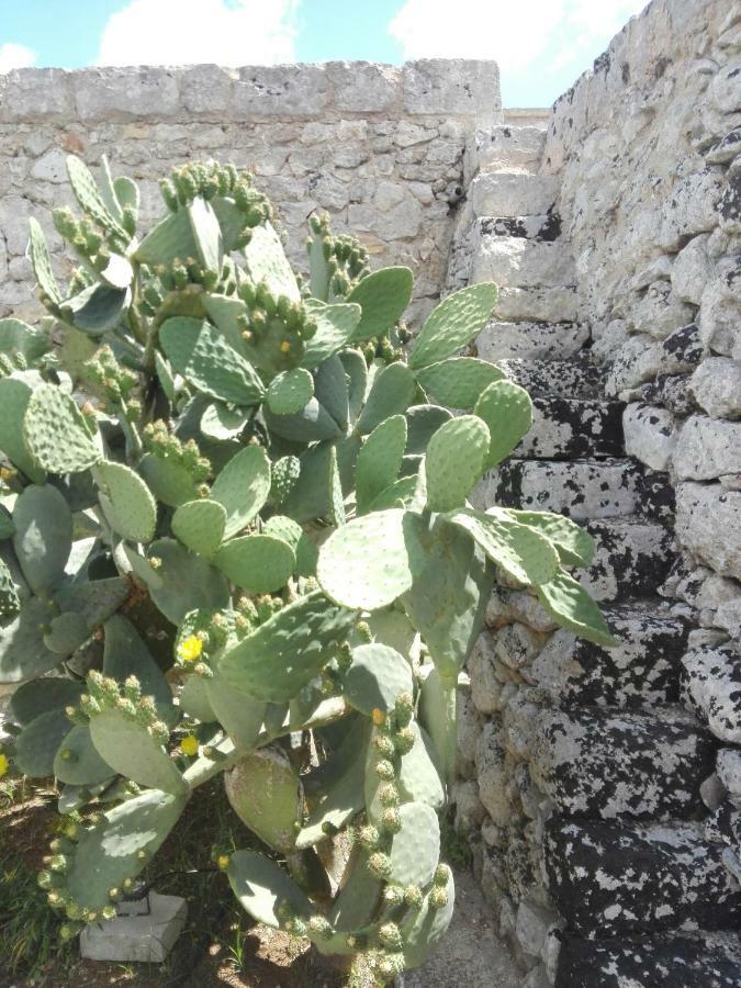 Palacca, Trullo Salentino Andrano Buitenkant foto