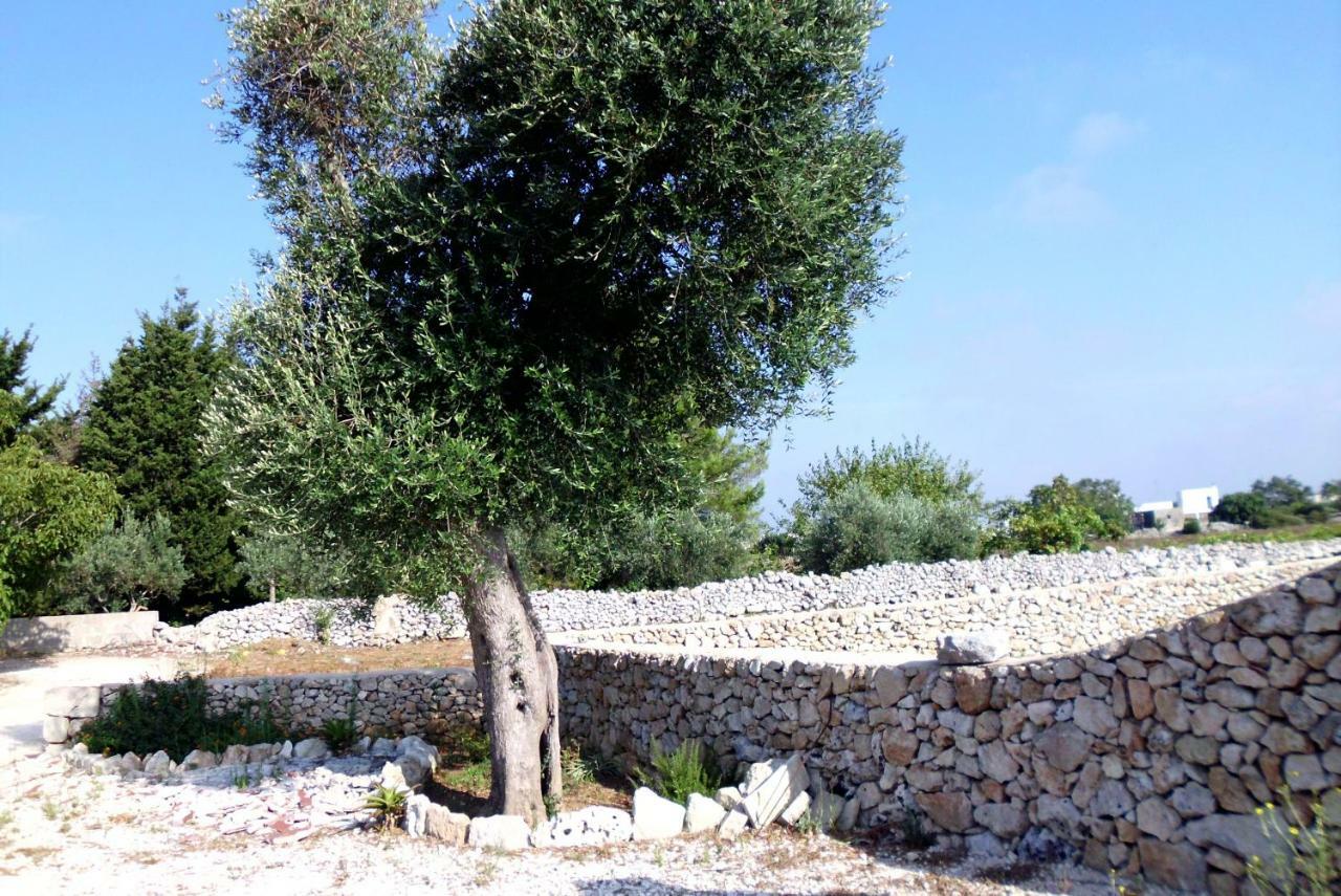 Palacca, Trullo Salentino Andrano Buitenkant foto