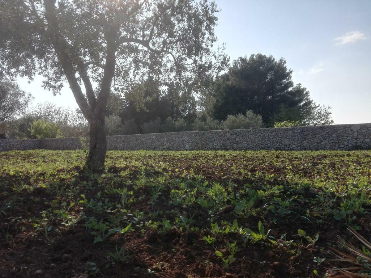 Palacca, Trullo Salentino Andrano Buitenkant foto